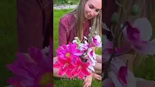 We Love Plants! We Love Gardens! We Love Flowers! ❤️ 🌱
