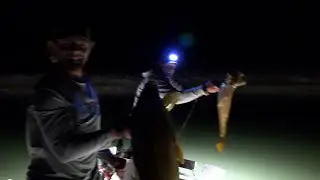 Bowfishing at night for giant carp 2025!