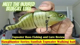 Bass Fishing Lure Review  | HawgHunter Series | Sunfish Topwater Walking Bait