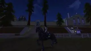 Flower Mystery dressage help.
