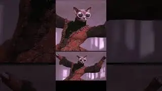 Acoustic C.A.T. - C.A.T. is a Cat | Relaxing Acoustic Music Mix & Chill Cinematic Visuals