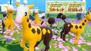 キリンリキ６匹に囲まれて癒されピクニック【ポケモンSV】