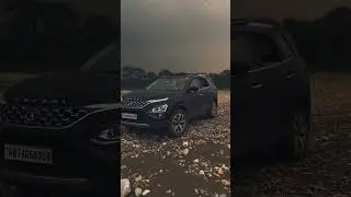 #safari2022