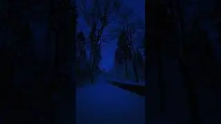 Blue hour walk in a winter forest                        #bluehour #forest #nature #aesthetic #fyp