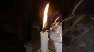#shorts #viral #easy #experiments #homeexperiments #spooky #science