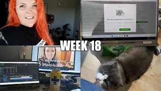 Work, Work & Freelance Work | VLOG Week 18 2022 | Life in Norway