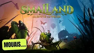 Un jeu de survie qui veut bien faire.. (Avis &agrave; chaud de SMALLAND: Survive the Wilds)