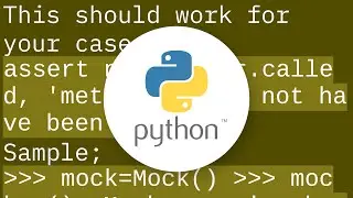 Assert a function/method was not called using Mock