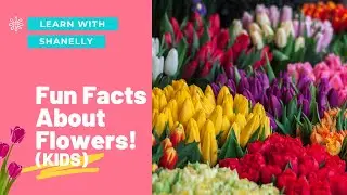 Fun Facts About Flowers - Learn With Shanelly
