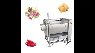 Small Root Vegetable Washer Peeler