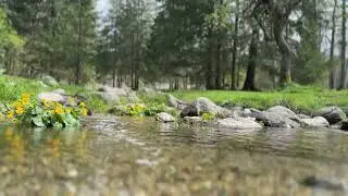 Soothing Sounds of Nature | Mountine River ASMR