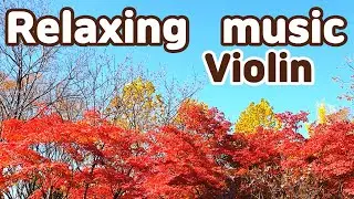 Relax Violin music, Vivaldi 'Autumn' The Four Season #relaxmusic#Vivaldi#Autumn#happy#fourseason