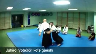 Ushiro ryotedori kote gaeshi