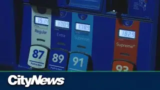 Ford government proposes referendum on future carbon taxes