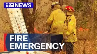 Bushfire emergency surrounding major motorway | 9 News Australia
