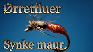 &Oslash;rretfluer. Synke maur. Med Eivind Berulfsen.