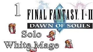 1. Let's Play FF1 (GBA) - Solo White Mage Challenge