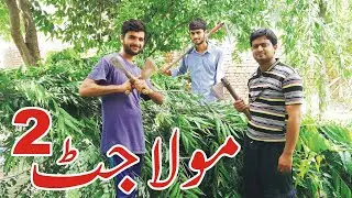 maula jatt 2 style tree cutting | Daily routine work in school garden | سکول کی صفائی | Tabasum vlog