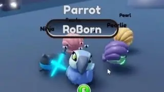 New Legendary Pet (Parrot) + New Blue Egg!!! (Roblox Ropets)
