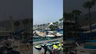 Puerto Col&oacute;n Tenerife. Canary Islands #selfcare #travel