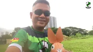 3D Rabbit Archery Target