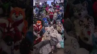 the furry disease is spreading