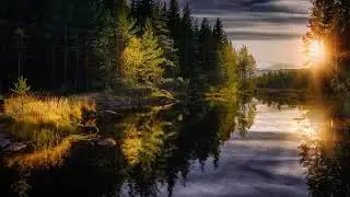 Relaxing Nature Sunset Forest Lake Ambience in Afternoon (10 hours) - Study, Work, Relax, Background