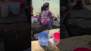 Boracay newcoast October 24,2025 
