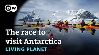 Cold rush: The race to visit Antarctica | Living Planet Podcast