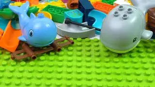 Satisfying Building Block ASMR Marble Run Race Wild Animals And Spiral Hopper