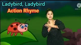 Ladybird, Ladybird Action Rhyme