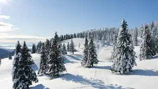 ❄ NARNIA in Winter ❄ - Calm Down INSTANTLY | 4K Nature Video 🌍