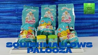 Squishmallows Mystery Squad Squooshems Blind Bag Palooza Opening