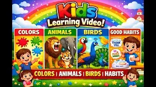 Preschool Learning Compilation | Colors, Animals, Birds & Habits