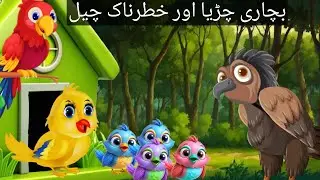 چڑیا اور چیل کی کہانی |brids moral story  | The story of rain |two sister tv |