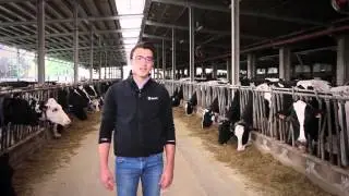 Maurizio Chialva, Consulente Tecnico Commerciale • Ferrero