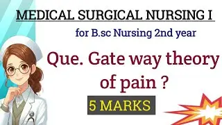 GATEWAY THEORY OF PAIN ! MSN ! B.Sc.& GNM ! #bscnursing #explorepage #medicalsurgicalnursing #viral 