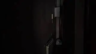 video paranormal real 4 (cada dia va a peor)