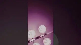 Bassic Re-do