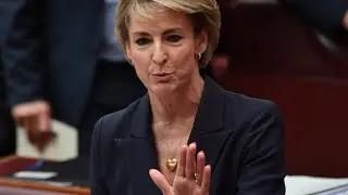 'It's okay to vote no': Michaelia Cash on Voice referendum