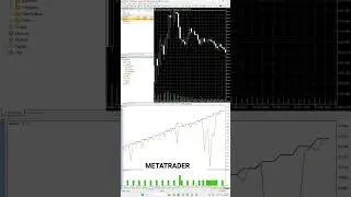 Create & Run Your First Trading Bot on MetaTrader 5!