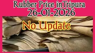 Rubber Price inTripura 26th January 2026@ShortGuide123youtube 