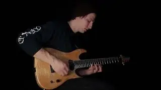 Cages for everyone (Original song) - solo playthrough | Steve Pelletier