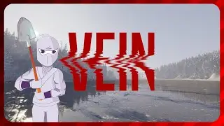 We're On A Server! Vein