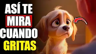 ¿TU PERRO TE MIRA ASÍ CUANDO TE ENOJAS? Esta Mirada Te Romperá el Alma
