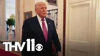 Six months have passed since President Trump's inauguration