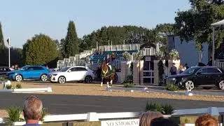 Stoneleigh Park Summer Championship 2019(1)