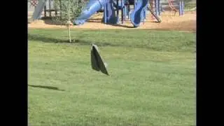 Delta Slow Flyer RC Plane