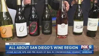 All About San Diego's Wine Region