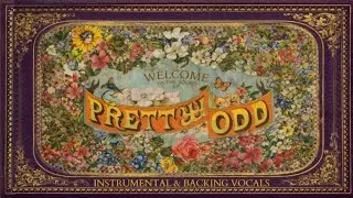 When the Day Met the Night (Instrumental & Backing Vocals) - @panicatthedisco​